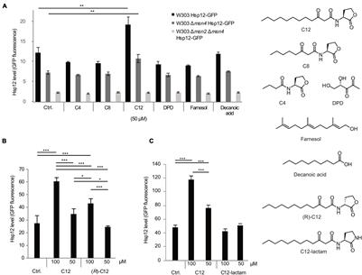 A Bacterial Quorum Sensing Molecule Elicits a General Stress Response in Saccharomyces cerevisiae